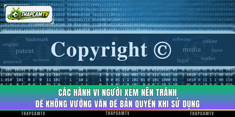 Các hành vi người xem nên tránh để không vướng vấn đề bản quyền khi theo dõi bóng đá trên ThapcamTV