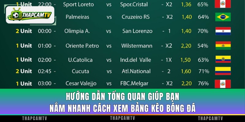 Hướng dẫn tổng quan giúp bạn nắm nhanh cách xem bảng kèo bóng đá
