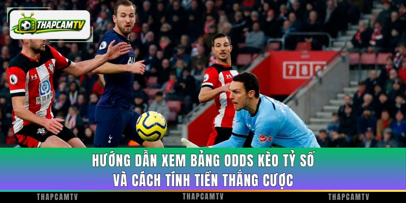 Hướng dẫn xem bảng odds kèo tỷ số và cách tính tiền thắng cược