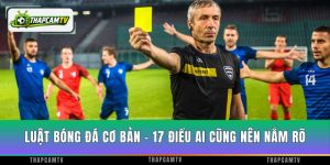 Luật Bóng Đá Cơ Bản - 17 Điều Bạn Nên Nắm Vững