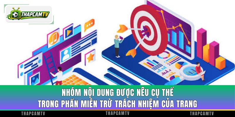 Nhóm nội dung được nêu cụ thể trong phần miễn trừ trách nhiệm của trang