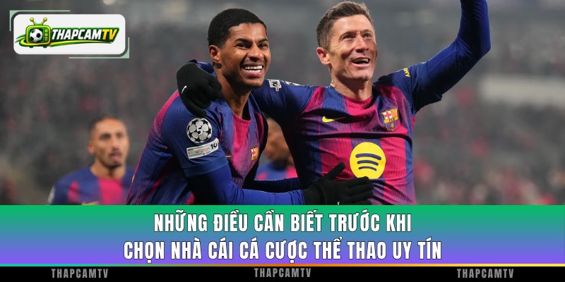 Những điều cần biết trước khi chọn nhà cái cá cược thể thao uy tín