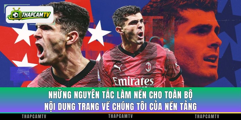 Những nguyên tắc làm nền cho toàn bộ nội dung trang về chúng tôi của nền tảng